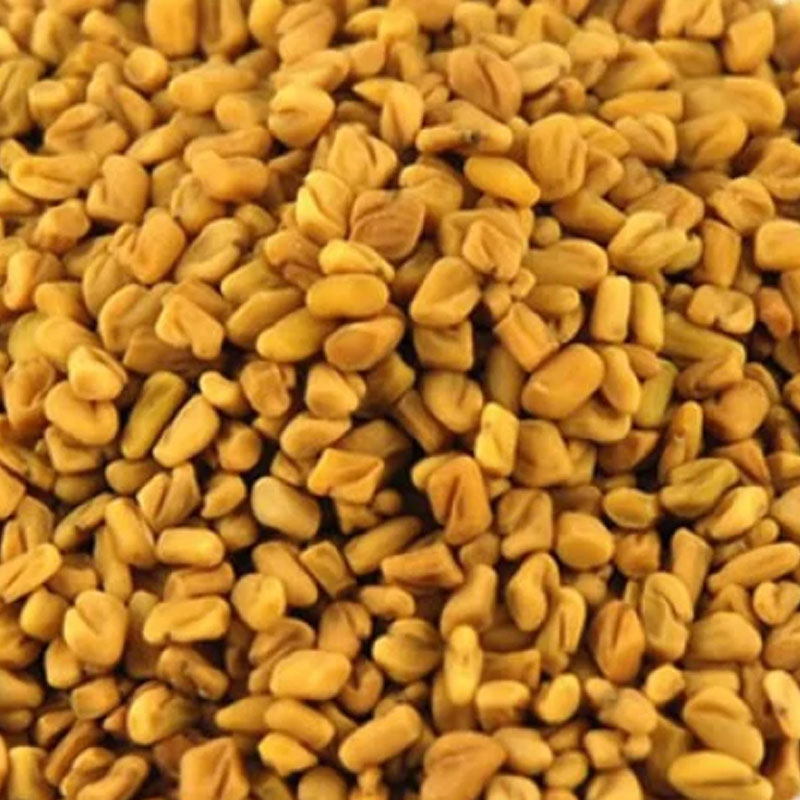 Fenugreek