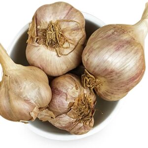 Hill Garlic