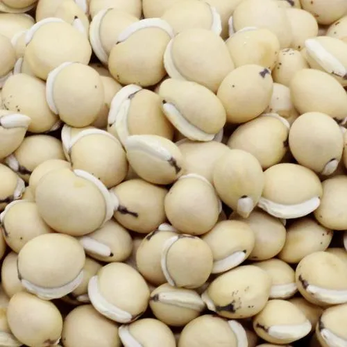 White Lima Beans